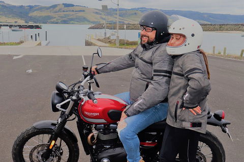Triumph Street Scrambler 900cc - Accommodation Mount Tamborine 1