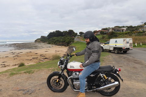 Royal Enfield Interceptor 650cc - Accommodation Mount Tamborine 3