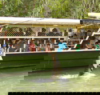 Hartley's Crocodile Adventure Half-Day Tour - Accommodation Mount Tamborine