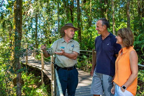 Kuranda Scenic Railway Day Trip From Cairns - Accommodation Mount Tamborine 1