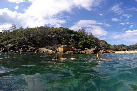 Manly And Shelly Beach Snorkeling Tour - Accommodation Mount Tamborine 4