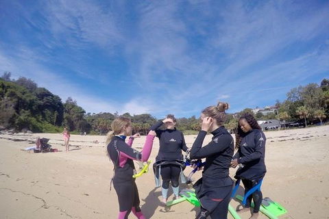 Manly And Shelly Beach Snorkeling Tour - Accommodation Mount Tamborine 5