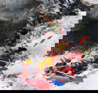 Barron Gorge National Park Half-Day White Water Rafting from Cairns or Port Douglas - Accommodation Mount Tamborine