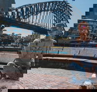 Sydney Food Tour with a Local Guide Private  Personalized  - Accommodation Mount Tamborine