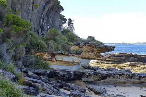 Day Trip To Cronulla & The Royal National Park - Accommodation Mount Tamborine 4