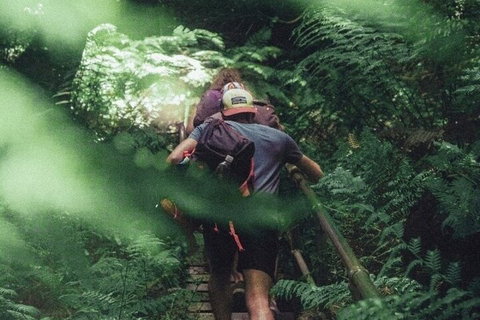 Private Day Trip At The Blue Mountains - Accommodation Mount Tamborine 3