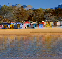 Mornington Peninsula Small Group day tour - Accommodation Mount Tamborine