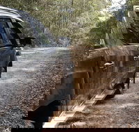4x4 Off-Road Tour - Accommodation Mount Tamborine