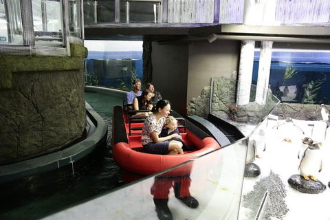 Sydney Attractions Pass: SEA LIFE Aquarium, Sydney Tower Eye, WILD LIFE Zoo And Madame Tussauds - Accommodation Mount Tamborine 0