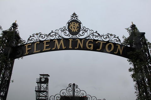 Half-Day Sports Lovers Bus Tour Of Melbourne With Tour Options - Accommodation Mount Tamborine 3