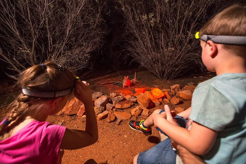 Alice Springs Desert Park Nocturnal Tour - Accommodation Mount Tamborine 4