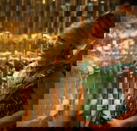 The Perth Mint Guided Heritage Tour and Gold Pour - Accommodation Mount Tamborine