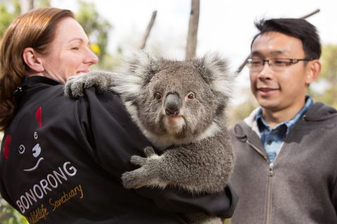 Bonorong Wildlife Park And Richmond Afternoon Tour From Hobart - Accommodation Mount Tamborine 0