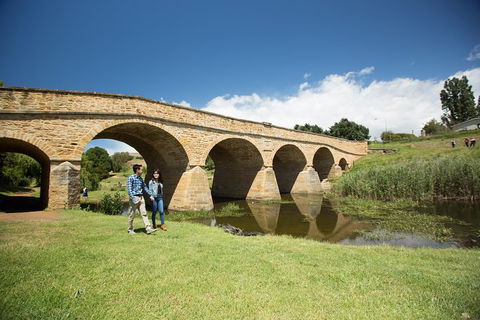 Bonorong Wildlife Park And Richmond Afternoon Tour From Hobart - Accommodation Mount Tamborine 2