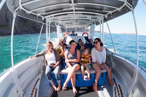 Seal Island Boat Tour From Victor Harbor - Accommodation Mount Tamborine 1