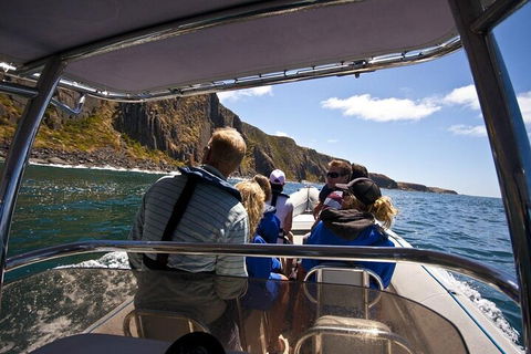 Seal Island Boat Tour From Victor Harbor - Accommodation Mount Tamborine 2