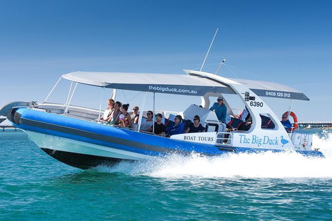Seal Island Boat Tour From Victor Harbor - Accommodation Mount Tamborine 3