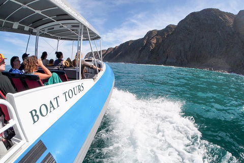 Southern Ocean Adventure From Victor Harbor - Accommodation Mount Tamborine 0