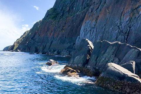 Southern Ocean Adventure From Victor Harbor - Accommodation Mount Tamborine 3