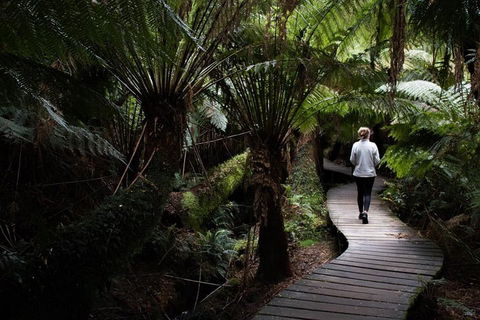 Private Tour Of Melbourne - Accommodation Mount Tamborine 2