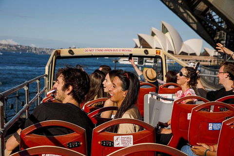 Hop-On Hop-Off Bus And PLUS 4 Merlin Attractions - Accommodation Mount Tamborine 1