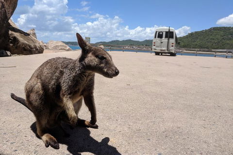 Magnetic Island Tour: Maggie Comprehensive - Accommodation Mount Tamborine 0