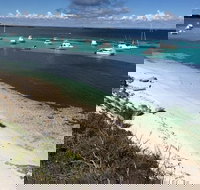 Experience Rottnest with Ferry  Bike Hire from Perth or Fremantle - Accommodation Mount Tamborine