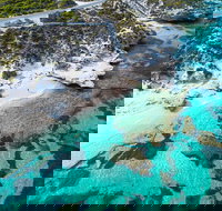 Rottnest Island Round-Trip Ferry from Perth or Fremantle - Accommodation Mount Tamborine