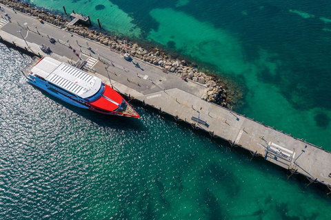 Rottnest Island Round-Trip Ferry From Perth Or Fremantle - Accommodation Mount Tamborine 1