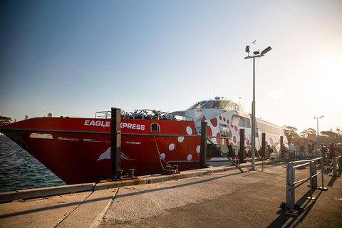Rottnest Island Round-Trip Ferry From Perth Or Fremantle - Accommodation Mount Tamborine 2
