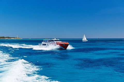 Rottnest Island Round-Trip Ferry From Perth Or Fremantle - Accommodation Mount Tamborine 4
