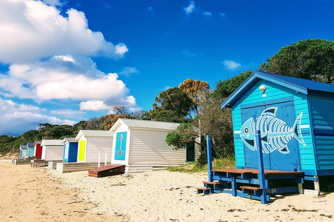 Mornington Peninsula Day Trip From Melbourne - Accommodation Mount Tamborine 2