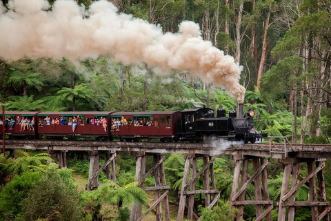 Melbourne Combo: Great Ocean Road, Puffing Billy, Moonlit Sanctuary & Penguins - Accommodation Mount Tamborine 1