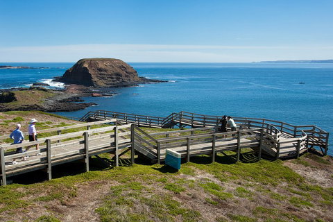 Melbourne Combo: Great Ocean Road, Puffing Billy, Moonlit Sanctuary & Penguins - Accommodation Mount Tamborine 5