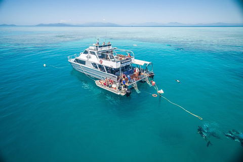Ocean Freedom Great Barrier Reef Personal Luxury Snorkel & Dive Cruise, Cairns - Accommodation Mount Tamborine 0