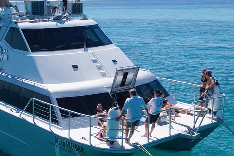 Ocean Freedom Great Barrier Reef Personal Luxury Snorkel & Dive Cruise, Cairns - Accommodation Mount Tamborine 1
