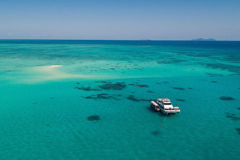 Ocean Freedom Great Barrier Reef Personal Luxury Snorkel & Dive Cruise, Cairns - Accommodation Mount Tamborine 2