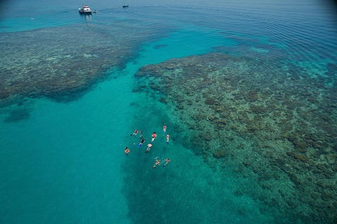 Ocean Freedom Great Barrier Reef Personal Luxury Snorkel & Dive Cruise, Cairns - Accommodation Mount Tamborine 3