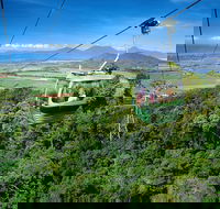 Best of Kuranda Including Skyrail Kuranda Scenic Railway and Rainforestation - Accommodation Mount Tamborine