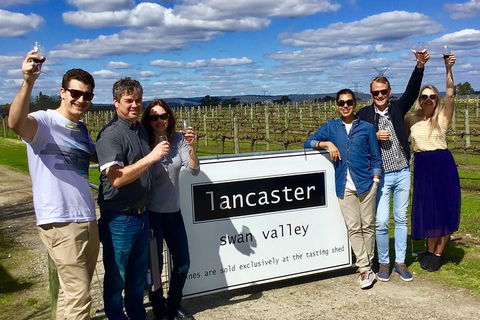 Swan Valley Tour From Perth: Wine, Beer And Chocolate Tastings - Accommodation Mount Tamborine 1