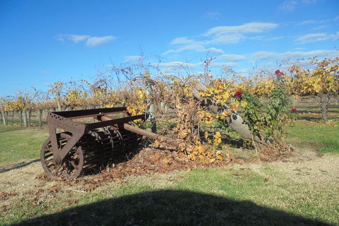 Swan Valley Tour From Perth: Wine, Beer And Chocolate Tastings - Accommodation Mount Tamborine 3