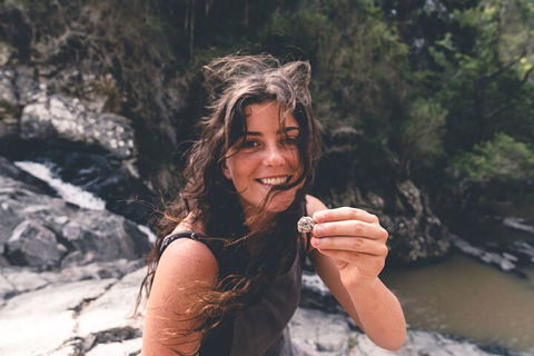 Springbrook AndTamborine Rainforest Tour Incl Natural Bridge And Glow Worm Cave - Accommodation Mount Tamborine 1