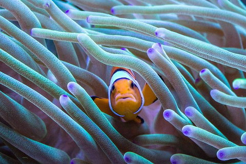 General Admission Entry At AQWA - Accommodation Mount Tamborine 4