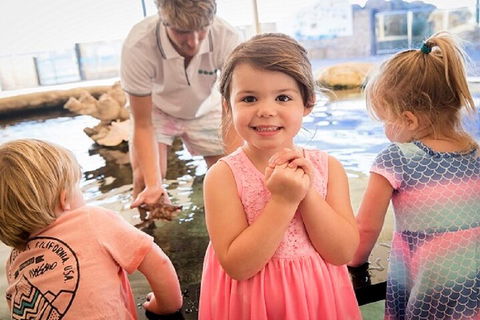 Lunch And General Admission Entry At AQWA - Accommodation Mount Tamborine 4