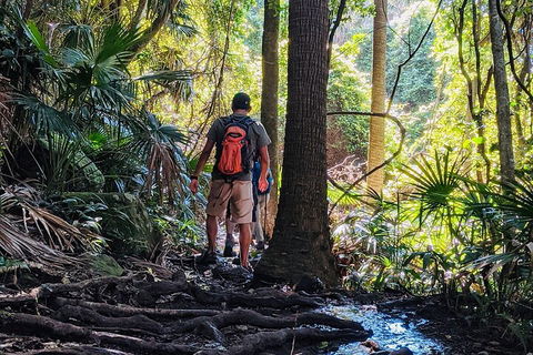 Hike To The Figure Eight Pools - Accommodation Mount Tamborine 0
