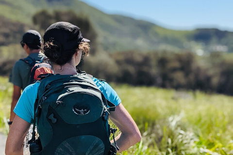 Hike To The Figure Eight Pools - Accommodation Mount Tamborine 5