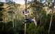Hollybank Wilderness Adventure - Zipline Tours - thumb 0