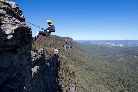 Half-Day Abseiling Adventure In Blue Mountains National Park - Accommodation Mount Tamborine 1