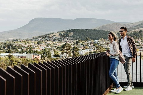 Moorilla Wine Meets Mona Art Day Trip - Accommodation Mount Tamborine 4