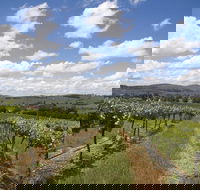 Hunter Valley Wine Tour from Sydney incl Lunch Cheese Chocolate and Distillery - Accommodation Mount Tamborine